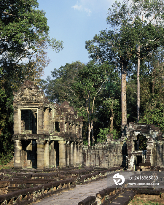 Cambodia, Angkor, Preah Khan, temple ruins