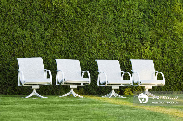 White Chairs on A Lawn