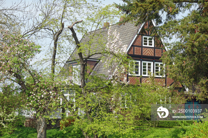 frühling im alten land