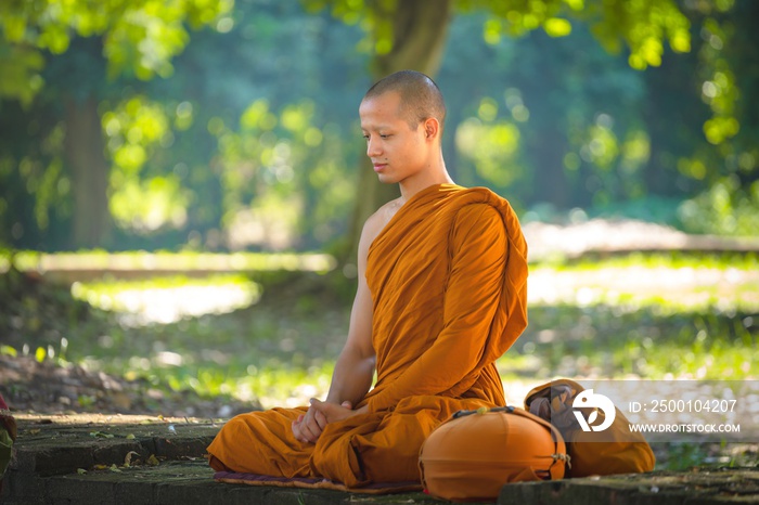 Monk in Buddhism Meditation