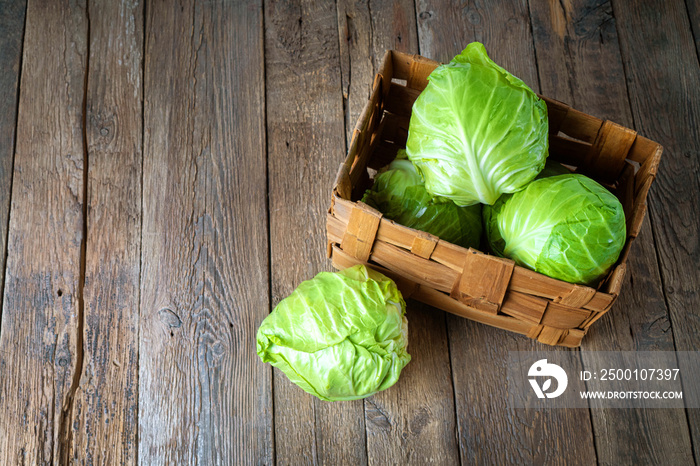 Young cabbages in a wicker box view above