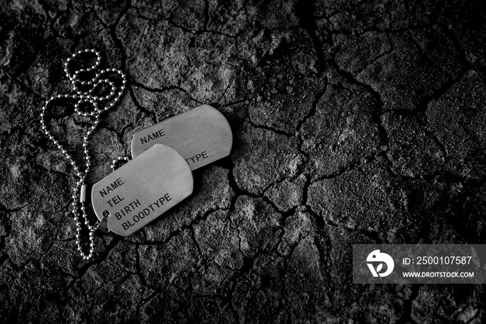 Blank military dog tags on cracked soil floor. - Memories and sacrifices concept.