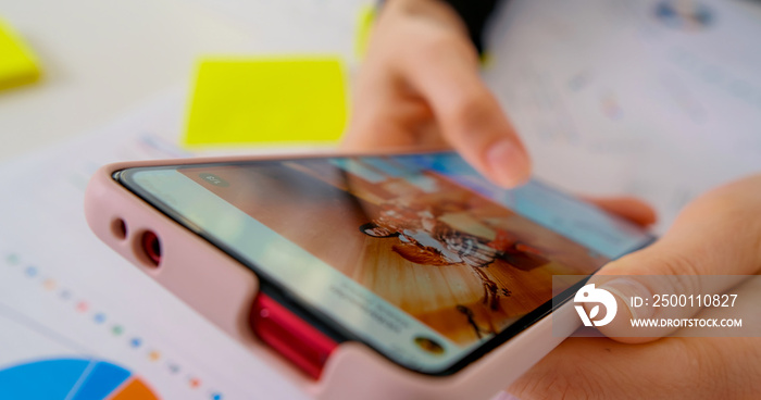 Female using smartphone on office work. Internet surf, scrolling in online search, information search. Close up macro of smartphone