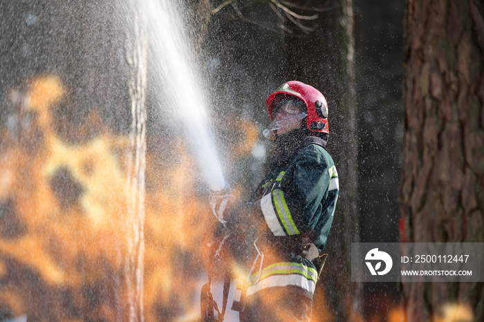 Firefighters extinguish a fire. A firefighter in a forest on fire.