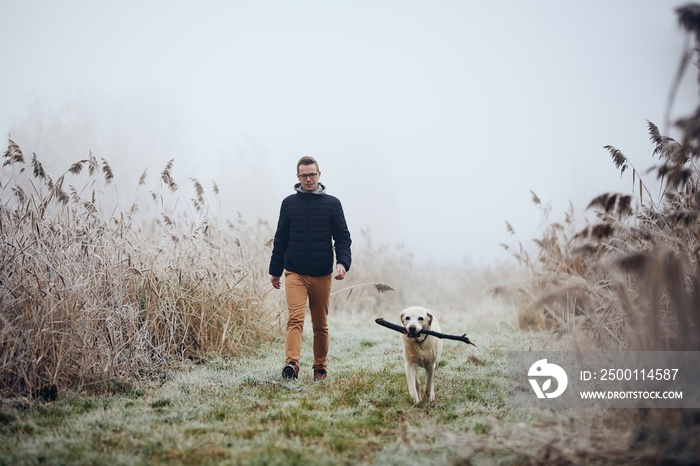 Young man walking with his dog in nature. Pet owner with labrador retriever on meadow in the middle of reeds during frosty day.