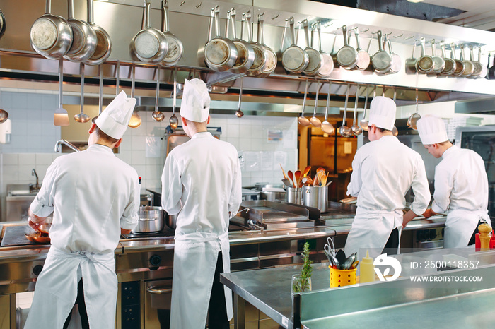 Modern kitchen. Cooks prepare meals on the stove in the kitchen of the restaurant or hotel. The fire in the kitchen.