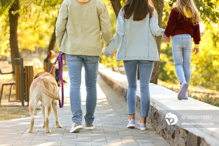 Parents with little daughter and Labrador dog walking in park