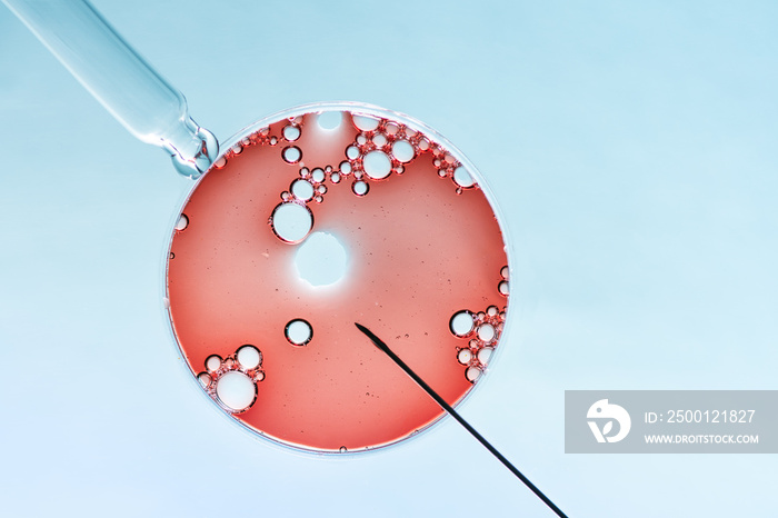 In vitro fertilisation concept. Artificial insemination or fertility treatment macro photography.