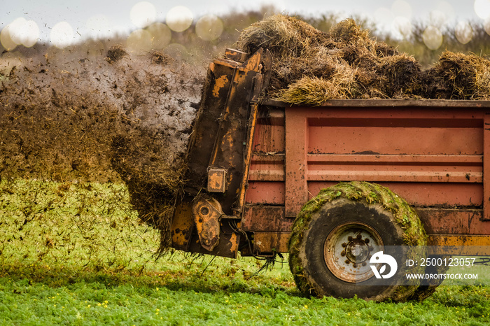 farmer spreading manure in fields in autumn