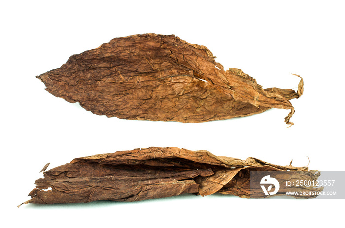 Dried tobacco leaves