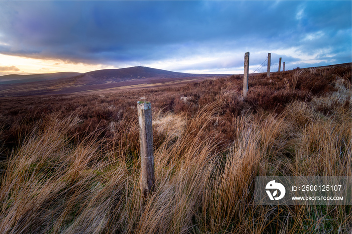 Kippure mountain, Wicklow, Ireland