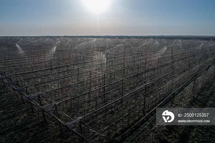 Modern orchard with sprayers for protection from frost in sring