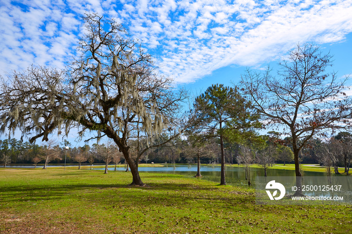 Tomball Burroughs park in Houston Texas