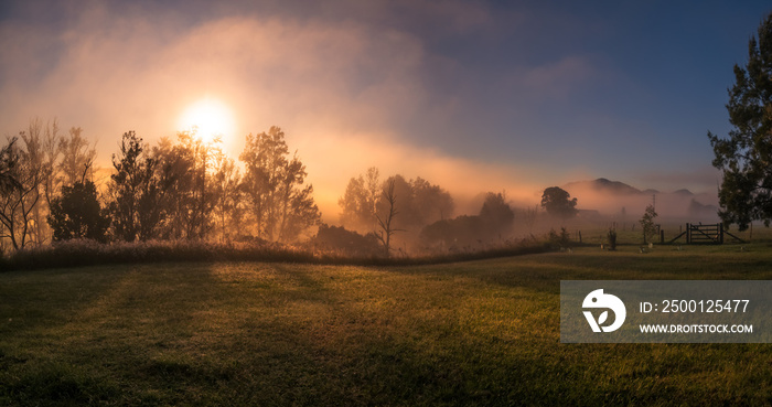 misty panoramic sunrise over the field