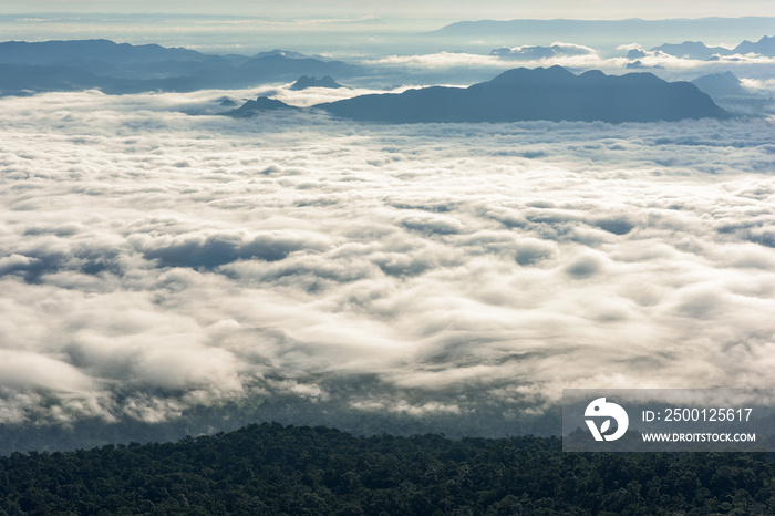 Foggy mountain in deep forest at Thailand