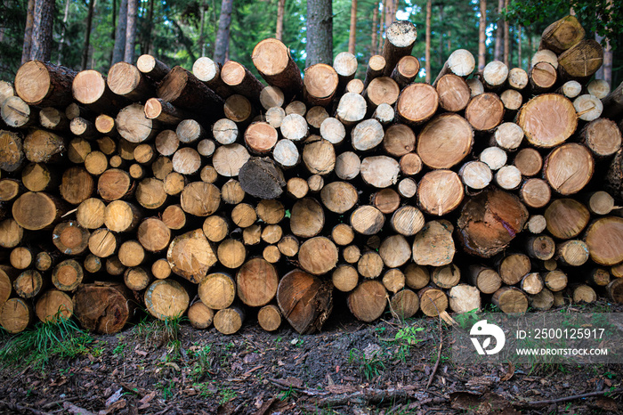 pile of wood logs