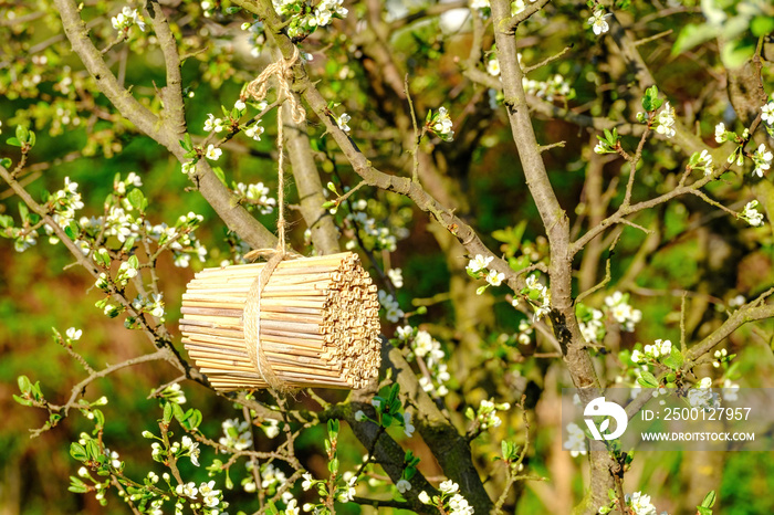 bug hotel for insects