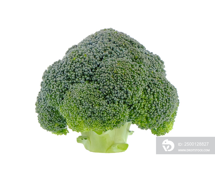 Broccoli on transparent png