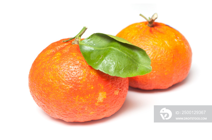 closeup of two hybrid orange fruits with leaf on white background