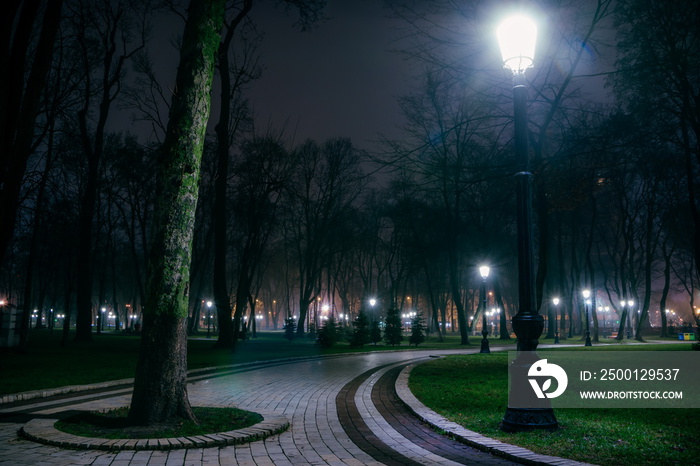 The alley of a night early winter park in a light fog. Footpath in a fabulous late autumn city park at night with benches and latterns. Beautiful cold evening in Mariinsky Park. Kyiv, Ukraine.