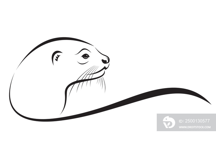 Otter head design design isolated on transparent background. Wild Animals.