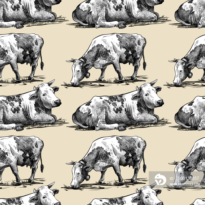 Farm cows seamless pattern hand drawn in a graphic style. Illustration for fabric, textile and print. Isolated on pastel background