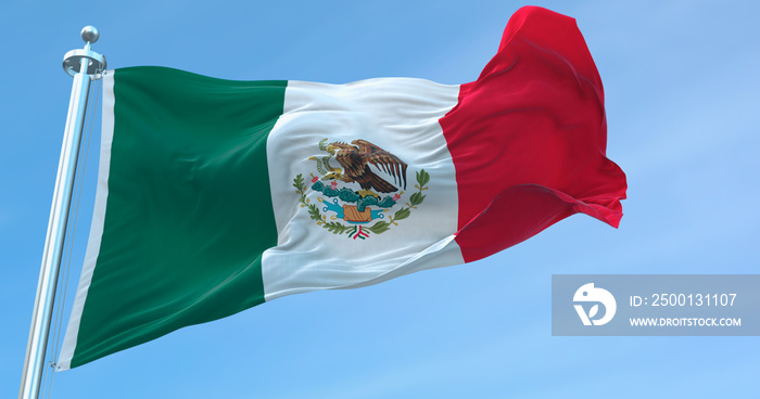 3D Rendering Mexico national Flag textile cloth fabric waving on the top -Illustration