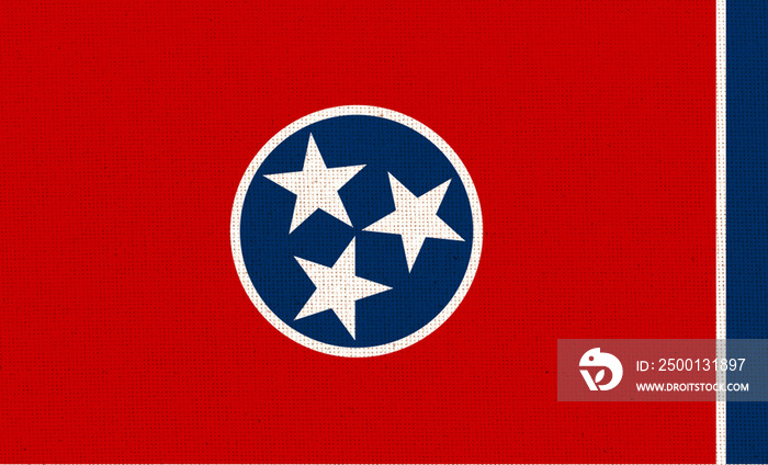 Flag of Tennessee on textured surface. Flags of U.S. states. Tennessee flag