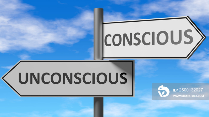 Unconscious and conscious as a choice, pictured as words Unconscious, conscious on road signs to show that when a person makes decision he can choose either option, 3d illustration