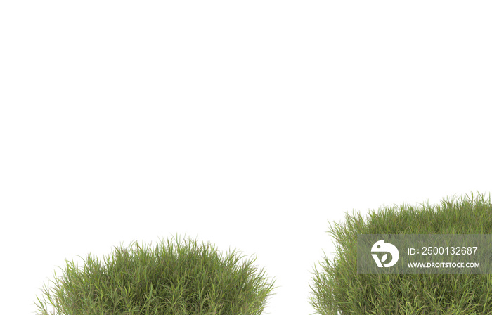 Field of grass with flowers on transparent background. 3d rendering - illustration