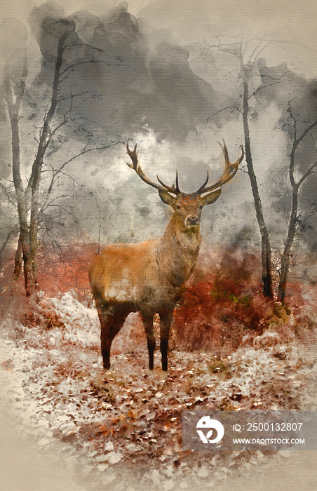 Watercolour painting of Red deer stag in foggy misty Autumn forest landscape at dawn