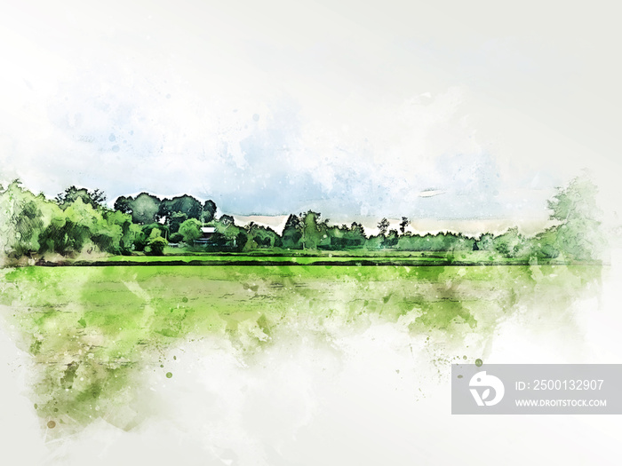 Abstract colorful shape on tree and field landscape watercolor illustration painting background.