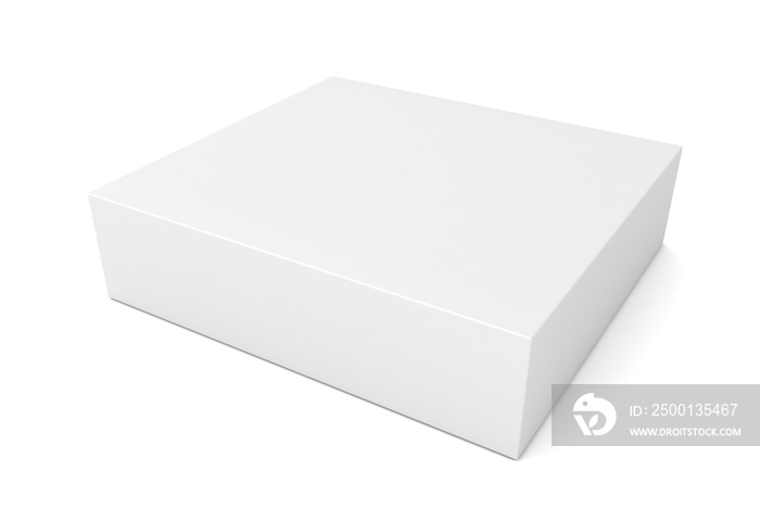 blank retail product box  3d illustration