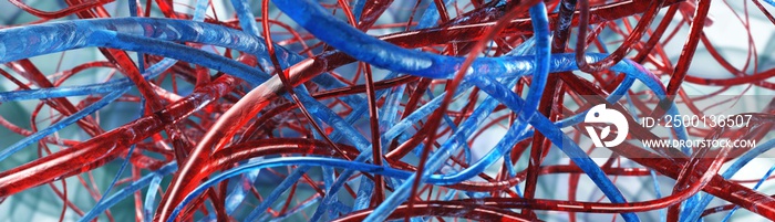 Blood vessels, circulatory system, veins and arteries, 3D rendering