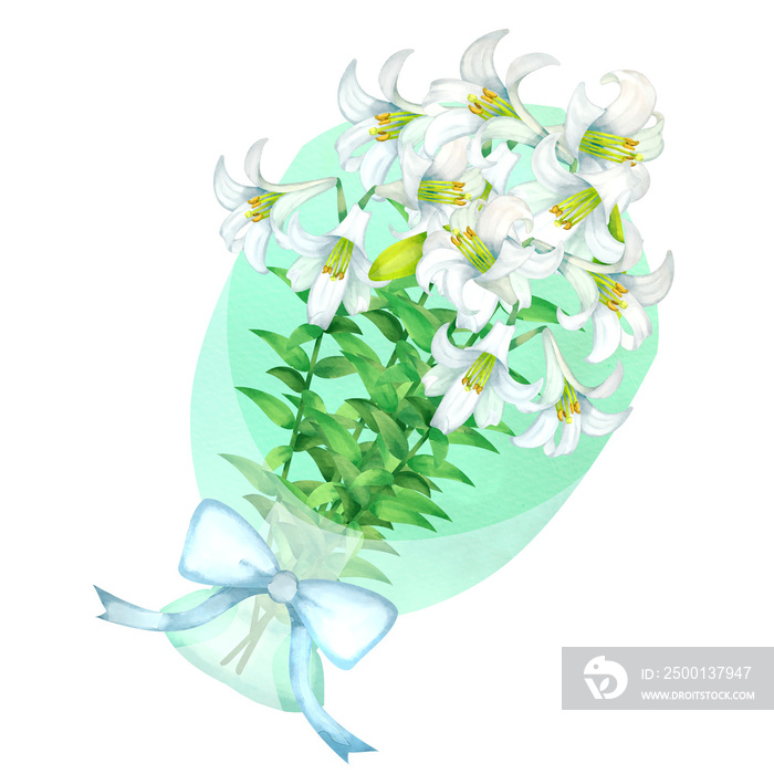 テッポウユリの花束。水彩風イラスト。 Easter lily bouquet. Watercolor style illustration.