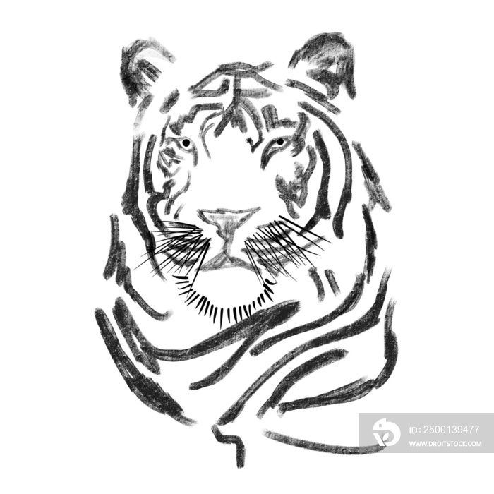 head of tiger