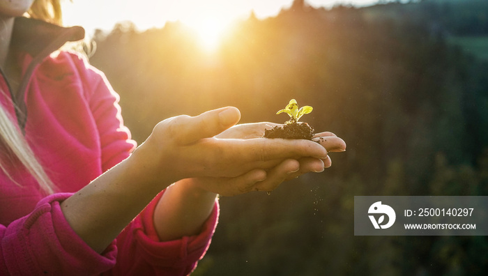 Woman hands planting a seed during sunny day in backyard garden - Girl gardening at sunset in spring time - Focus on plant - Nature, lifestyle, green thumb and nurture concept