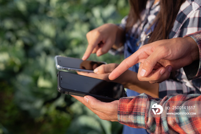 Male and female gardeners who hold smart phones, analyze their gardens in a new agricultural concept.