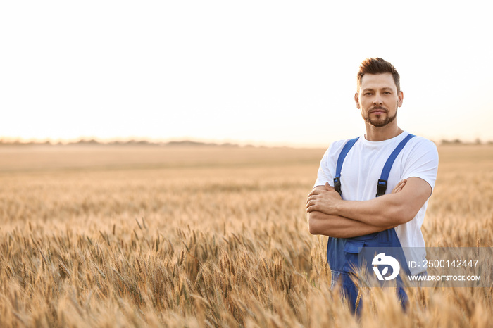 Farmer in field on sunny day