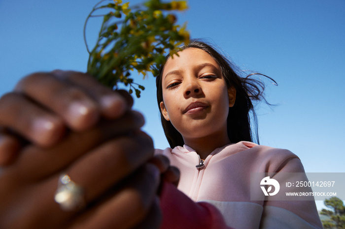 Little girl picking flowers during family camping trip with golden hour light