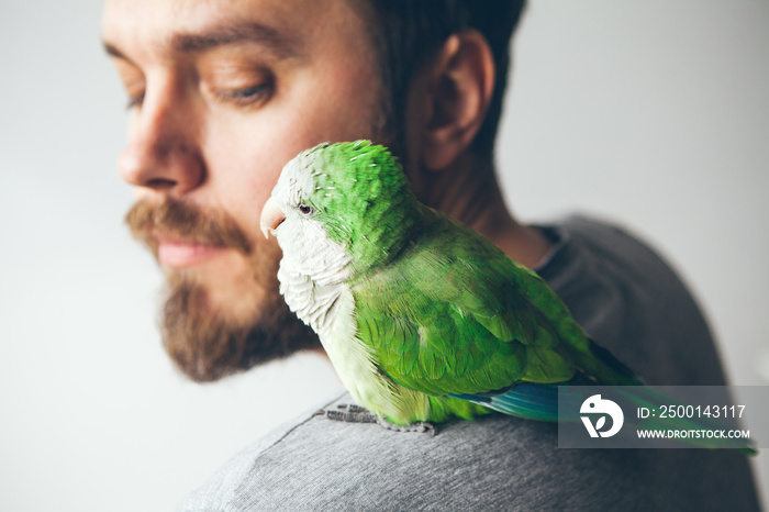 Close-up of beard man with green Quaker sitting on shoulder. Parrot and guy are looking at each other