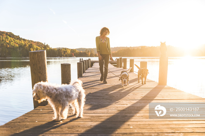 Woman walking the dogs on the dock at sunset