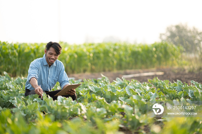 Young Asian farmer farmer record data in his farm, trying to collect and inspect the vegetables.