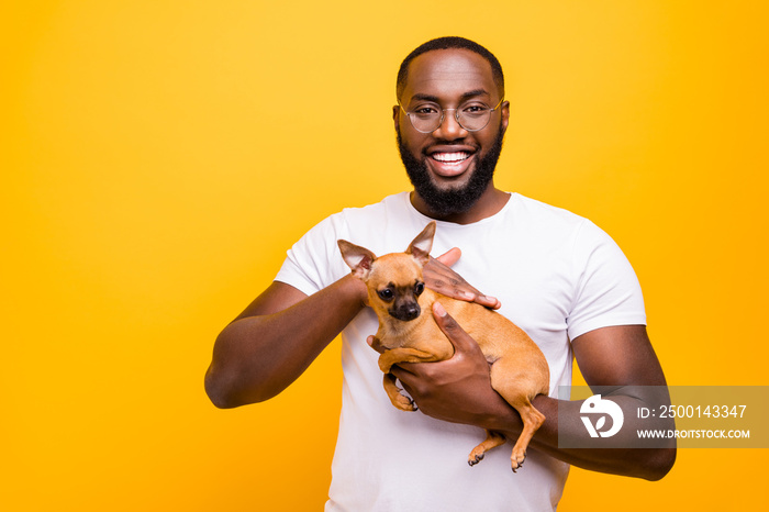 Dark skin guy took little dog to veterinary clinic for examining wear casual outfit isolated yellow background