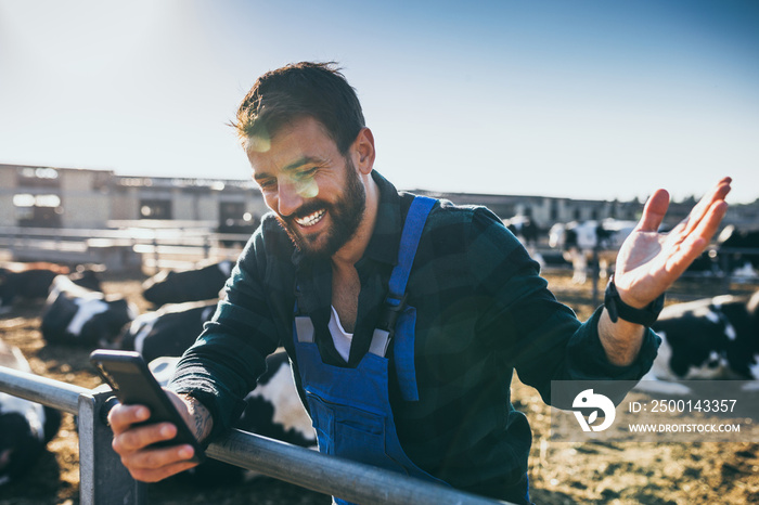 Happy young farmer standing in fornt of cows and looking at his phone.