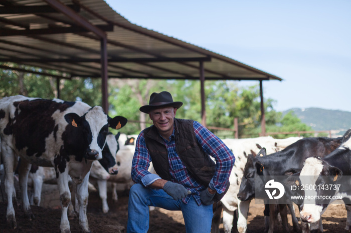 A farmer in a cowboy hat is happy next to his cows.