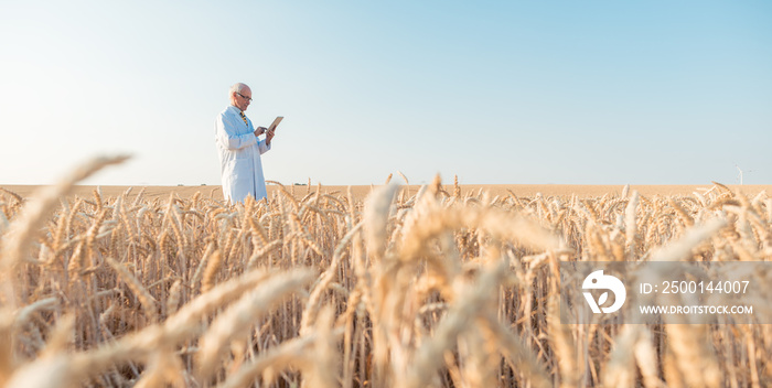 Agriculture scientist doing research in grain test field tracking data, wide shot