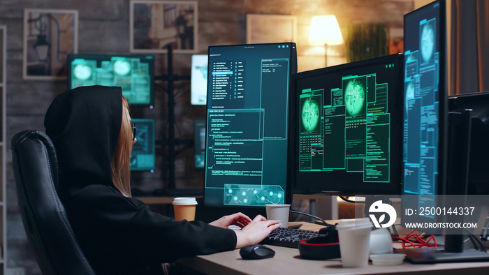 Hacker girl using a dangerous malware to attack the government database.