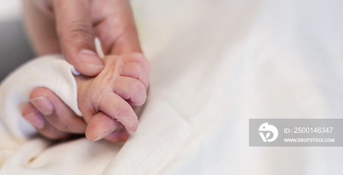 Asian parent hands holding newborn baby fingers, Close up mother’s hand holding their new born baby. Love family healthcare and medical body part father’s day concept panoramic banner