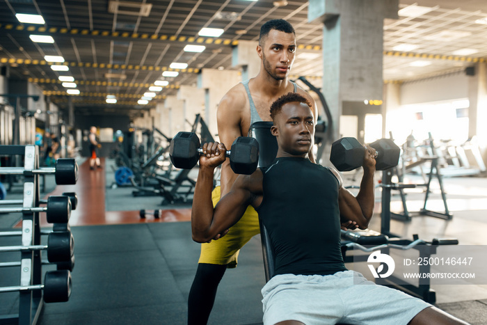 Two men doing exercise with dumbbells on bench